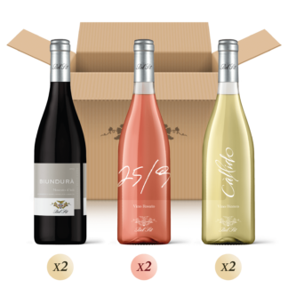 Primavera - confezione mista da 6 bottiglie per una degustazione di vini delle Langhe - Bel Sit Winery