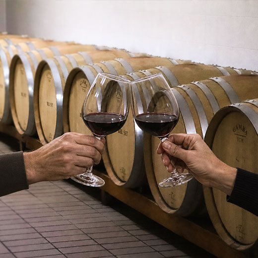 Degustazione Incontro